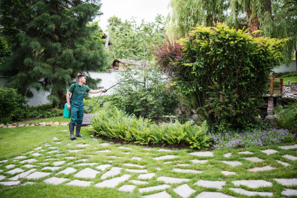 Best Pest Removal Services  in Fircrest, WA