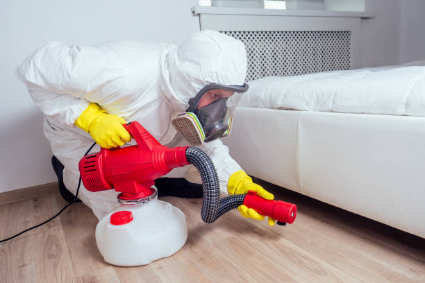 Best Flea Control Services  in Fircrest, WA