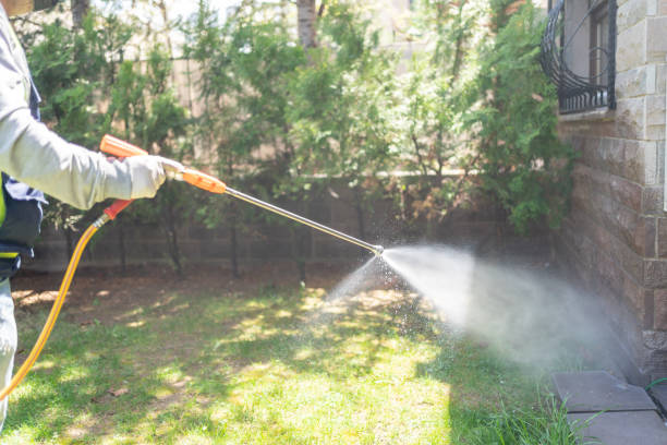 Wildlife Control Services in Fircrest, WA